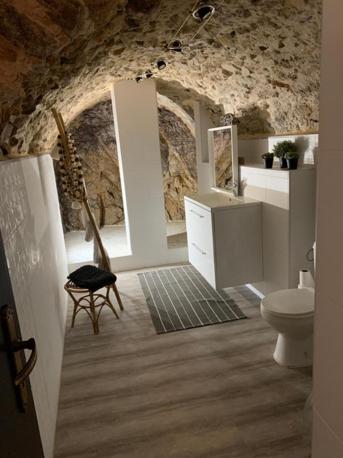 Appartement Cosy Le Balloon Avec Wifi Annonay Exterior foto